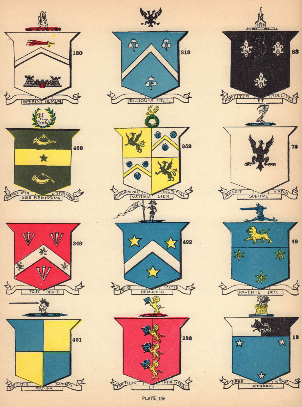 Irish arms Doran Moriarty Murtagh Donnelly Carr Morgan Monaghan Kavanagh 1905